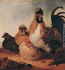 Aelbert Cuyp Famous Paintings - Rooster and Hens